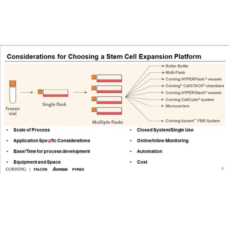 Challenges and Processes for Development and Scale-up of Stem Cell Therapies