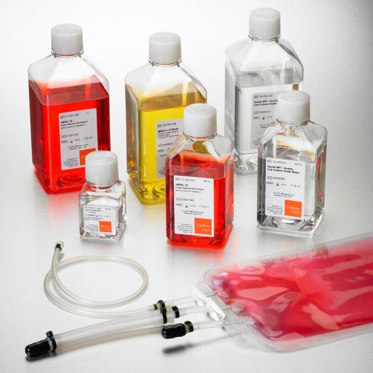 Media, Sera, and Reagents