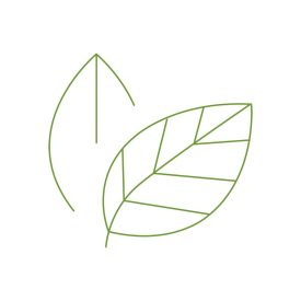 EcoChoice Leaf Icon