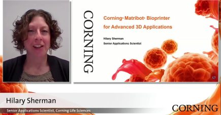 2022年バーチャル3D細胞培養サミット | 要点 | Corning