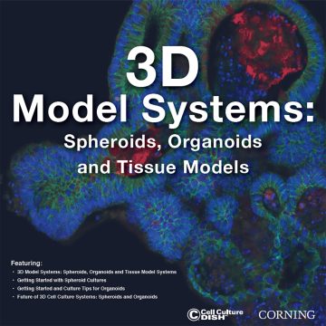 Download e-book: 3D Model Systems: Spheroids, Organoids, and Tissue Models