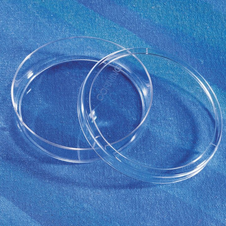 Corning® 100mm TC-Treated Culture Dish
