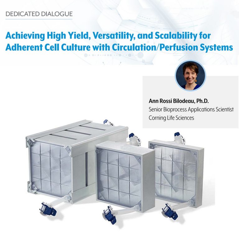 Achieving High Yield, Versatility, and Scalability for Adherent Cell Culture with Circulation/Perfusion Systems