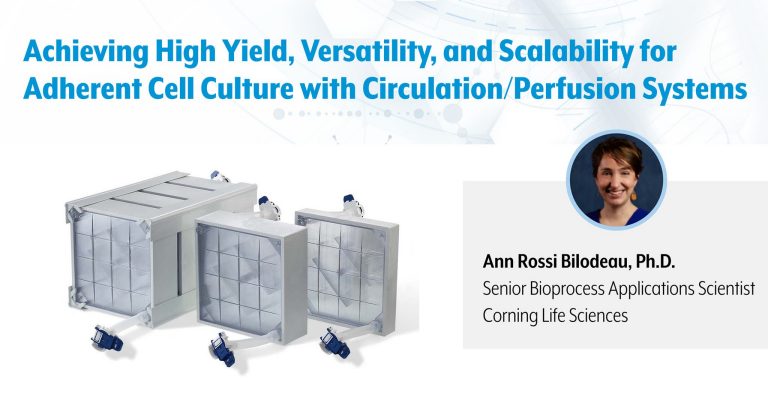 Achieving High Yield, Versatility, and Scalability for Adherent Cell Culture with Circulation/Perfusion Systems
