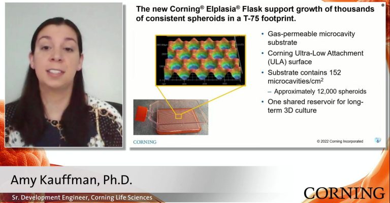 Advanced Spheroid Culture and Bioproduction of Extracellular Vesicles with the Corning® Elplasia® Flask