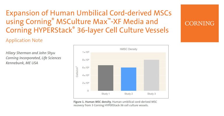 Human Umbilical Cord-derived Mesenchymal Stem Cell Production in Corning® HYPERStack® 36-layer Cell Culture Vessels