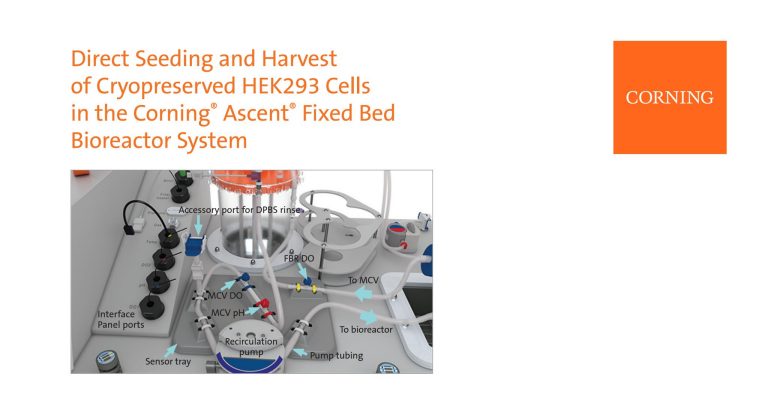 Direct Seeding and Harvest of Cryopreserved HEK 293 Cells in Ascent FBR System 5