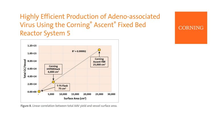 Efficient Production of AAV Using Ascent FBR System 5