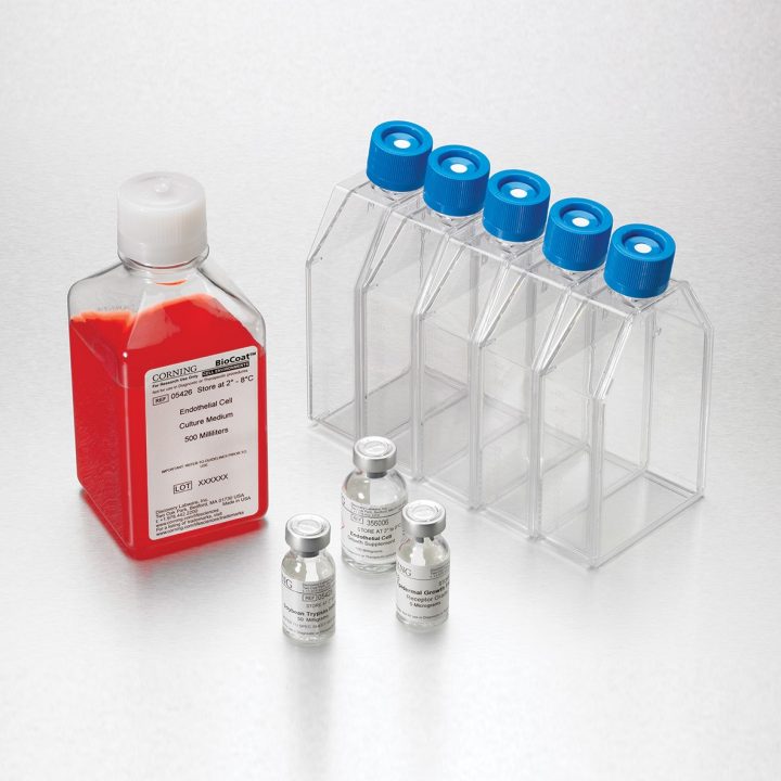 Corning® BioCoat™ Surfaces