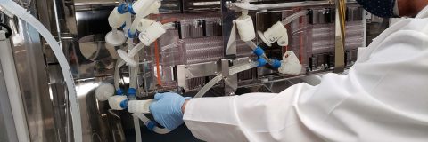 Whitepaper: A Guide to Adherent Scale-up