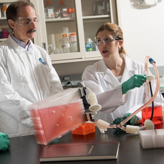 XLAB System Mononuclear Cell Isolation Corning