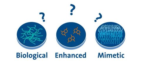 Cell Culture Surfaces Explained