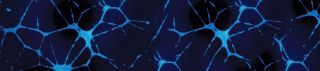 Cell Therapy Scientific Posters