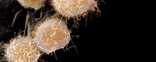 ISSCR 2015 Annual Meeting - Corning Life Sciences