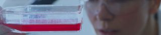Unleash the Power of Cell Therapy | Corning Life Sciences
