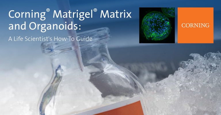 A Life Scientist’s How-To Guide on Corning Matrigel Matrix and Organoids