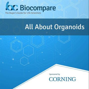 All About Organoids