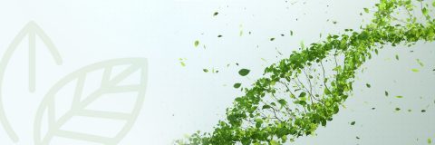 cls-ecochoice-homepage-banner.jpg