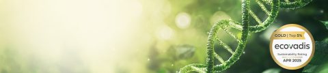 Corning Awarded an EcoVadis Gold Medal