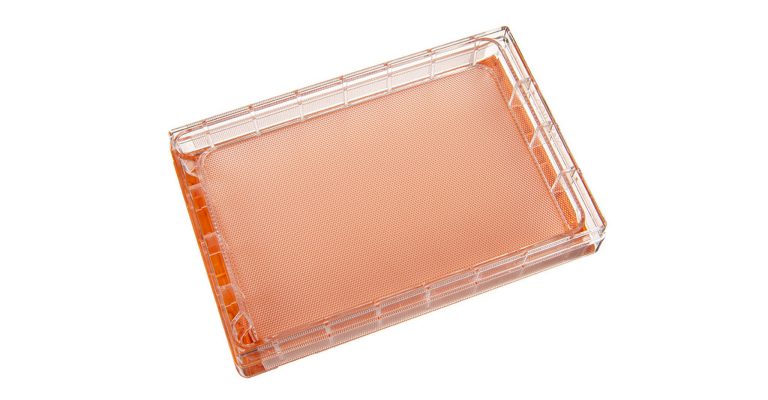 3D Spheroid Well Plate