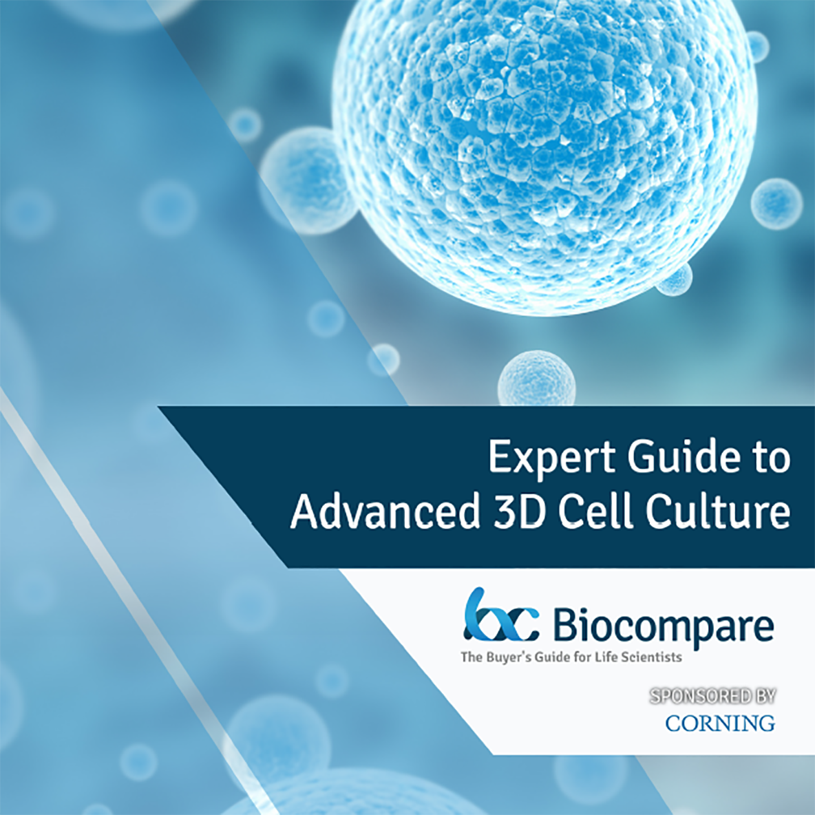 Expert guides. 3d Cell Culture