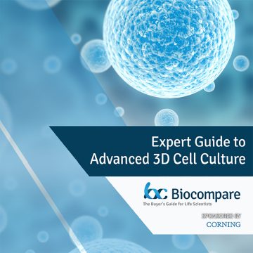 E-book Download: Expert Guide to Advanced 3D Cell Culture