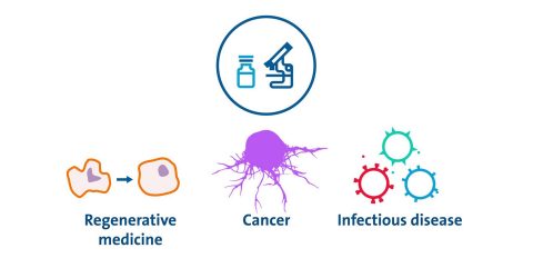 Extracellular Vesicles: What They Are, Application Potential, and How to Scale