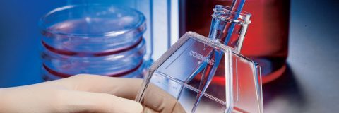White Paper: Introductory Guide to Cell Culture Basics