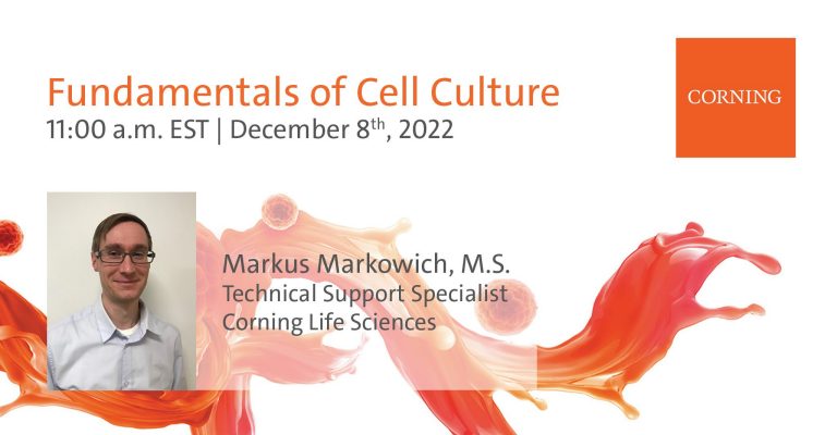 Webinar: Fundamentals of Cell Culture
