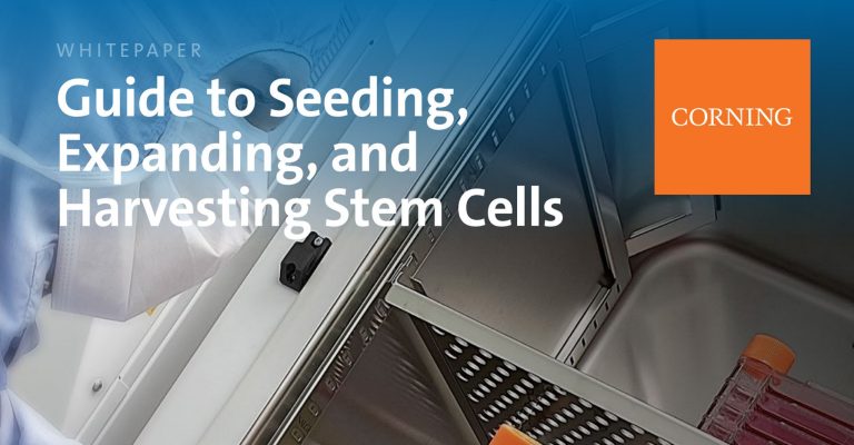 Whitepaper: Guide to Seeding, Expanding, and Harvesting Stem Cells