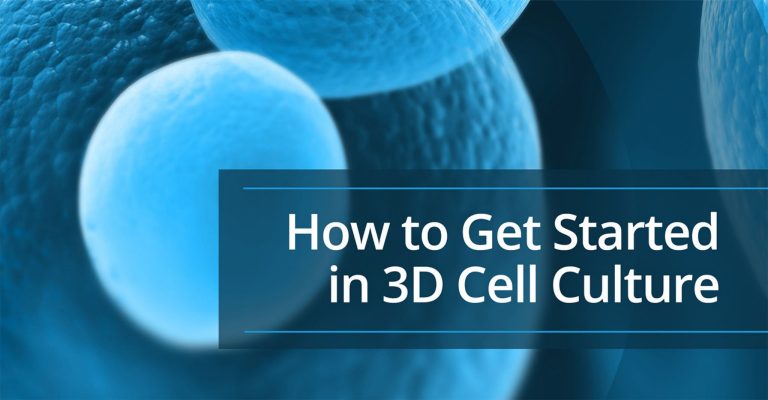 how to get started in 3D cell culture