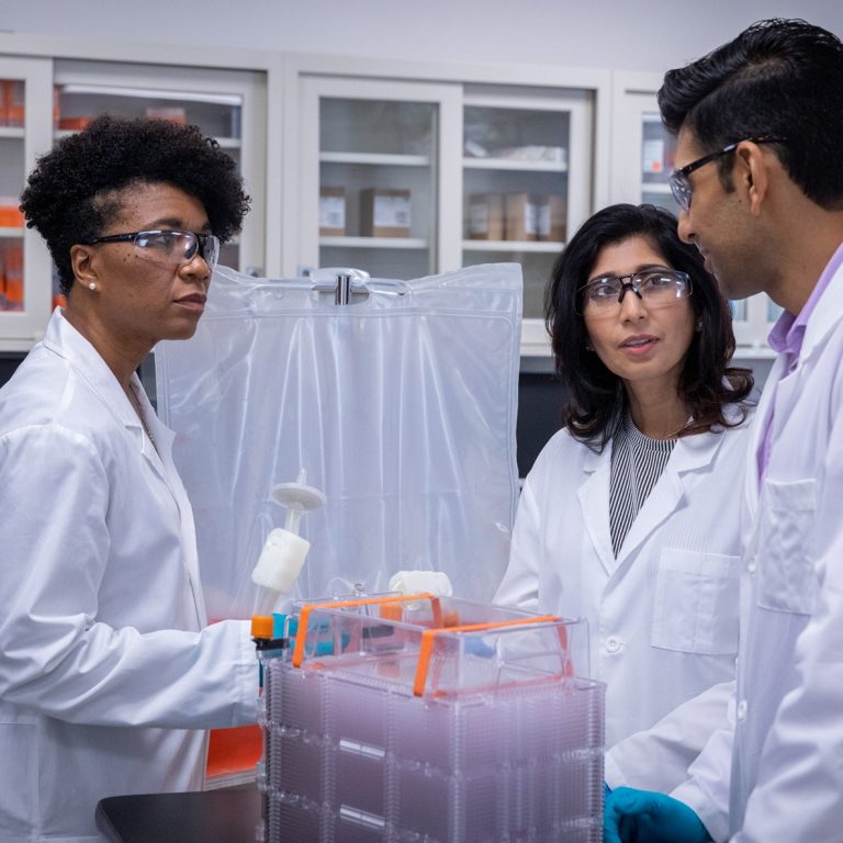 Application Support for HYPERStack Cell Culture Vessels