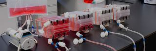 Shorten your production scale-up with a free consultation