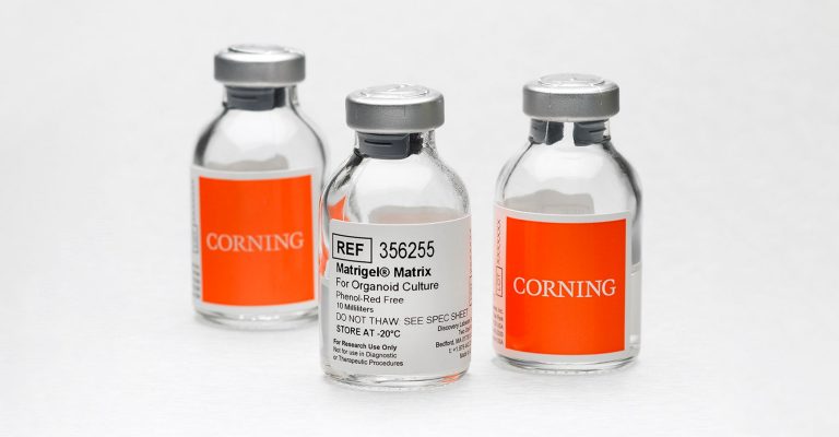 Corning Matrigel Matrix for Organoids