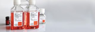 Corning® Classical Media