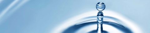 Contact Us to Learn More about Cell Culture and Molecular Biology Grade Water