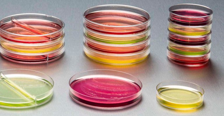 Bio-Agricultural Petri Dishes