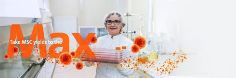 Moving Stem Cell Therapies Forward