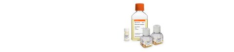 Corning® MSCulture Max™ Media