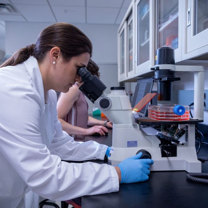 Adherent Cell Culture Basics Cell Seeding, Expanding, and Harvesting