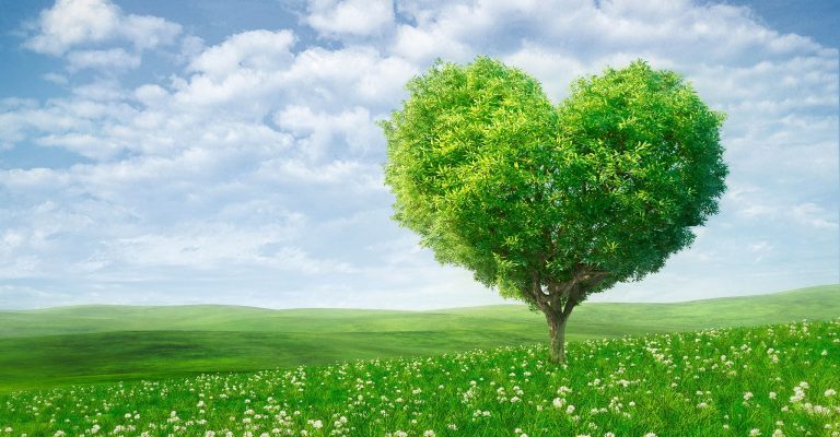 5 Practical Lab Sustainability Tips for a Greener Future