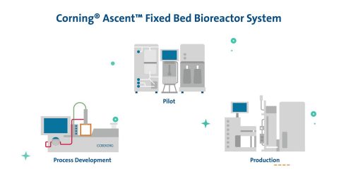 cls-optimizing-cell-and-gene-therapies-with-ascent-ls.jpg