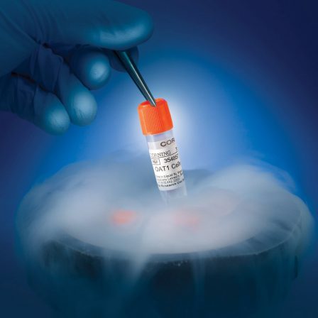 Tips for Effective Cryopreservation