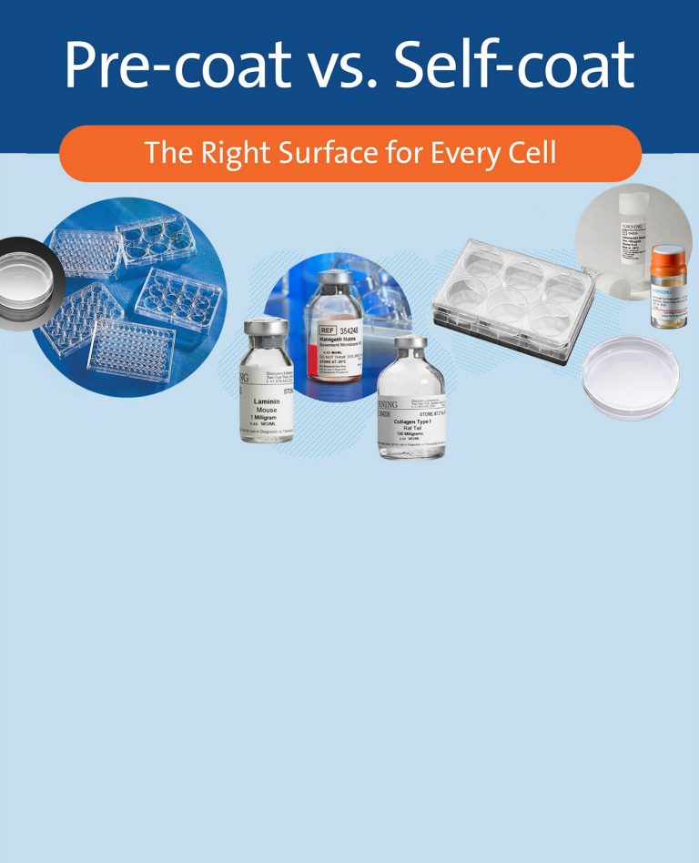 cls-pre-coat-vs-self-coat-surface-selection-infographic-4b.jpg