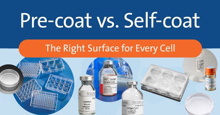 cls-pre-coat-vs-self-coat-surface-selection-infographic-ls.jpg