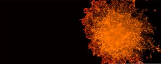 Sample Request | Corning Spheroid Microplates