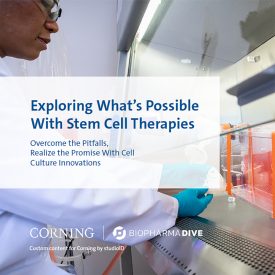 Explore What’s Possible With Stem Cell Therapies