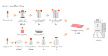 Suspension Workflow