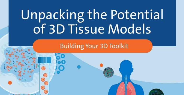 Unpacking the Potential of 3D Tissue Models