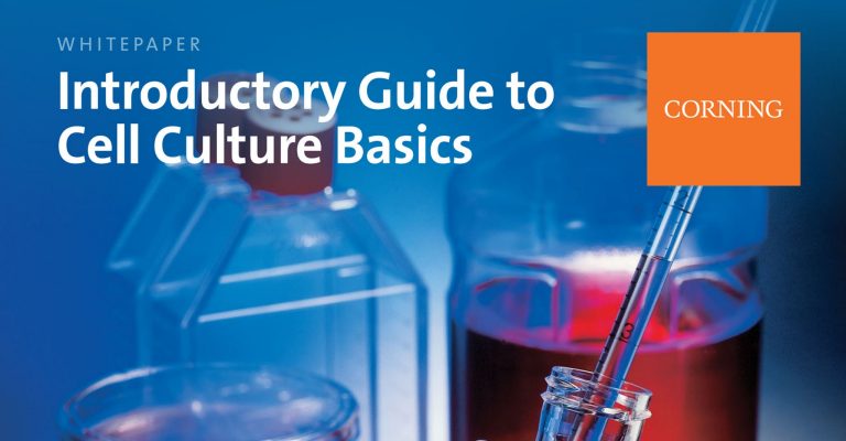 Introductory Guide to Cell Culture Basics